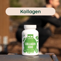 Kollagen